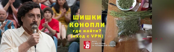 индика Нефтекумск